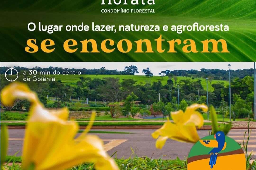 Imagem do WhatsApp de 2025-03-17 à(s) 11.58.04_ae39f960